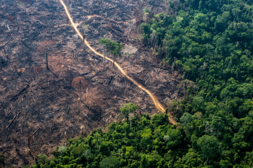 Especialistas alertam para retrocessos no licenciamento ambiental no Brasil