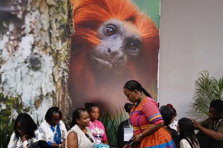 Belém se torna centro mundial do debate climático com início da COP30
