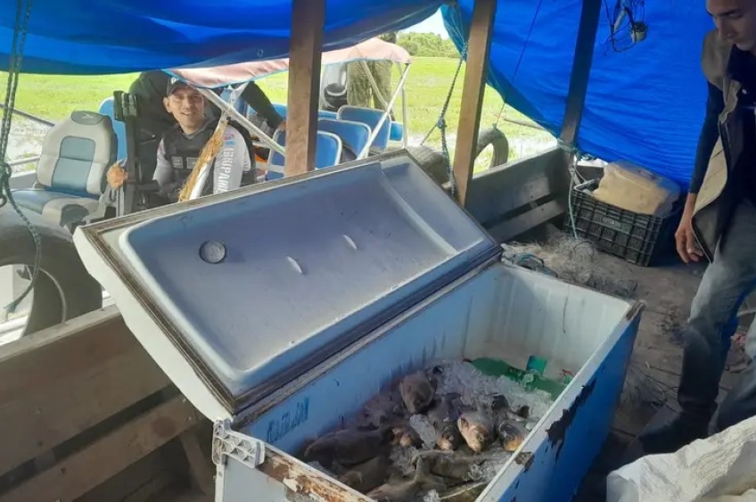 Cerca de 70kg de pescado são apreendidos em Óbidos
