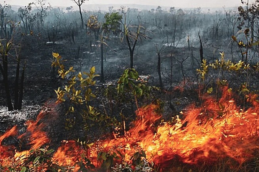 Força Nacional terá atuação estendida no combate a incêndios na Amazônia e Pantanal